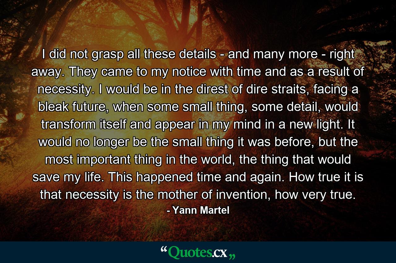 I did not grasp all these details - and many more - right away. They came to my notice with time and as a result of necessity. I would be in the direst of dire straits, facing a bleak future, when some small thing, some detail, would transform itself and appear in my mind in a new light. It would no longer be the small thing it was before, but the most important thing in the world, the thing that would save my life. This happened time and again. How true it is that necessity is the mother of invention, how very true. - Quote by Yann Martel