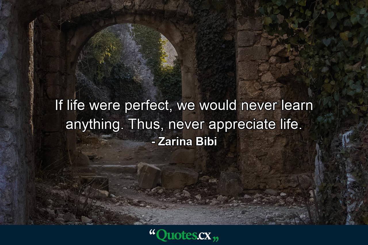 If life were perfect, we would never learn anything. Thus, never appreciate life. - Quote by Zarina Bibi