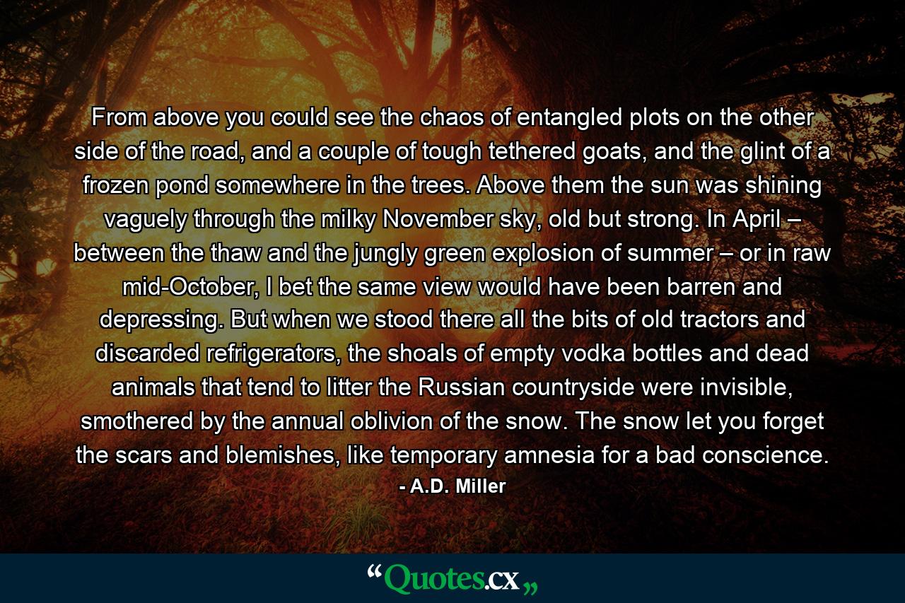 From above you could see the chaos of entangled plots on the other side of the road, and a couple of tough tethered goats, and the glint of a frozen pond somewhere in the trees. Above them the sun was shining vaguely through the milky November sky, old but strong. In April – between the thaw and the jungly green explosion of summer – or in raw mid-October, I bet the same view would have been barren and depressing. But when we stood there all the bits of old tractors and discarded refrigerators, the shoals of empty vodka bottles and dead animals that tend to litter the Russian countryside were invisible, smothered by the annual oblivion of the snow. The snow let you forget the scars and blemishes, like temporary amnesia for a bad conscience. - Quote by A.D. Miller