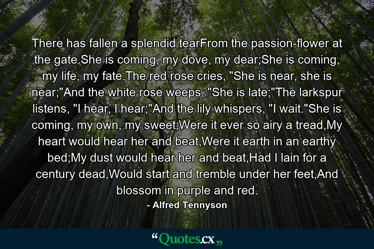 There has fallen a splendid tearFrom the passion-flower at the gate.She is coming, my dove, my dear;She is coming, my life, my fate.The red rose cries, 