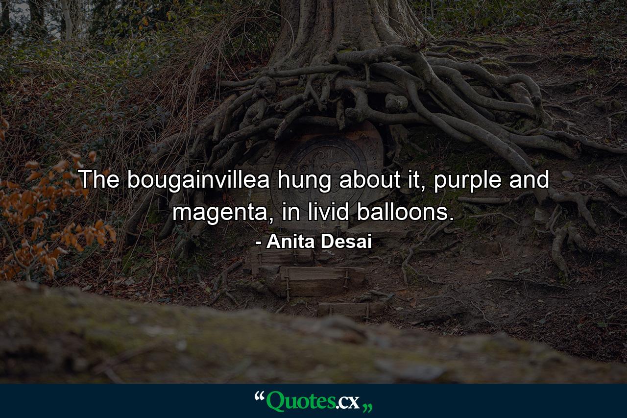 The bougainvillea hung about it, purple and magenta, in livid balloons. - Quote by Anita Desai