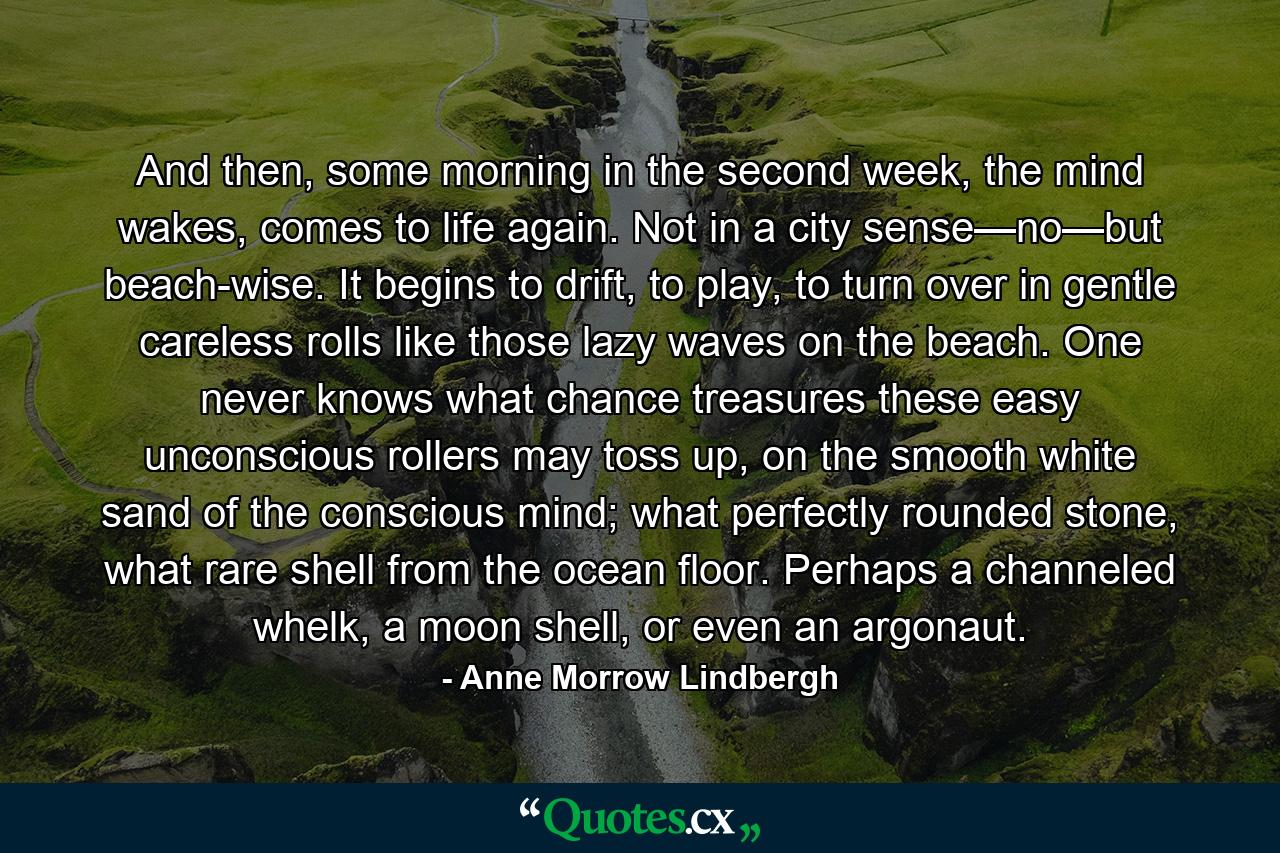 And then, some morning in the second week, the mind wakes, comes to life again. Not in a city sense—no—but beach-wise. It begins to drift, to play, to turn over in gentle careless rolls like those lazy waves on the beach. One never knows what chance treasures these easy unconscious rollers may toss up, on the smooth white sand of the conscious mind; what perfectly rounded stone, what rare shell from the ocean floor. Perhaps a channeled whelk, a moon shell, or even an argonaut. - Quote by Anne Morrow Lindbergh