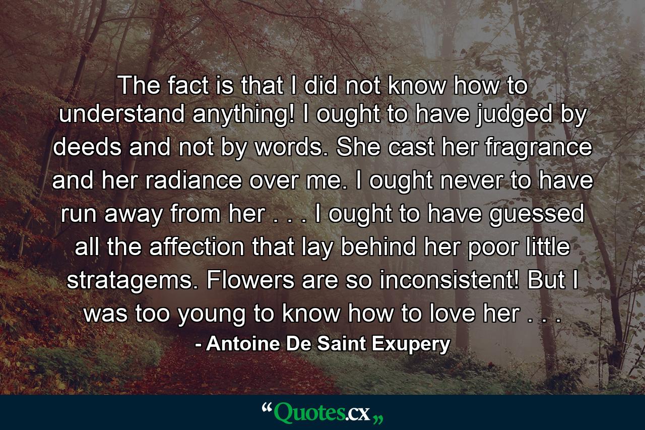 The fact is that I did not know how to understand anything! I ought to have judged by deeds and not by words. She cast her fragrance and her radiance over me. I ought never to have run away from her . . . I ought to have guessed all the affection that lay behind her poor little stratagems. Flowers are so inconsistent! But I was too young to know how to love her . . . - Quote by Antoine De Saint Exupery