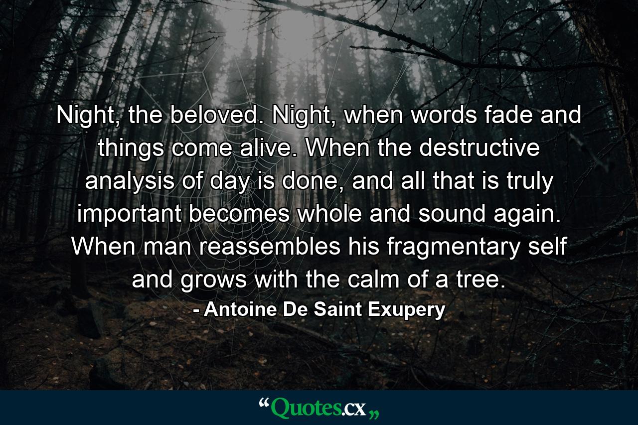 Night, the beloved. Night, when words fade and things come alive. When the destructive analysis of day is done, and all that is truly important becomes whole and sound again. When man reassembles his fragmentary self and grows with the calm of a tree. - Quote by Antoine De Saint Exupery