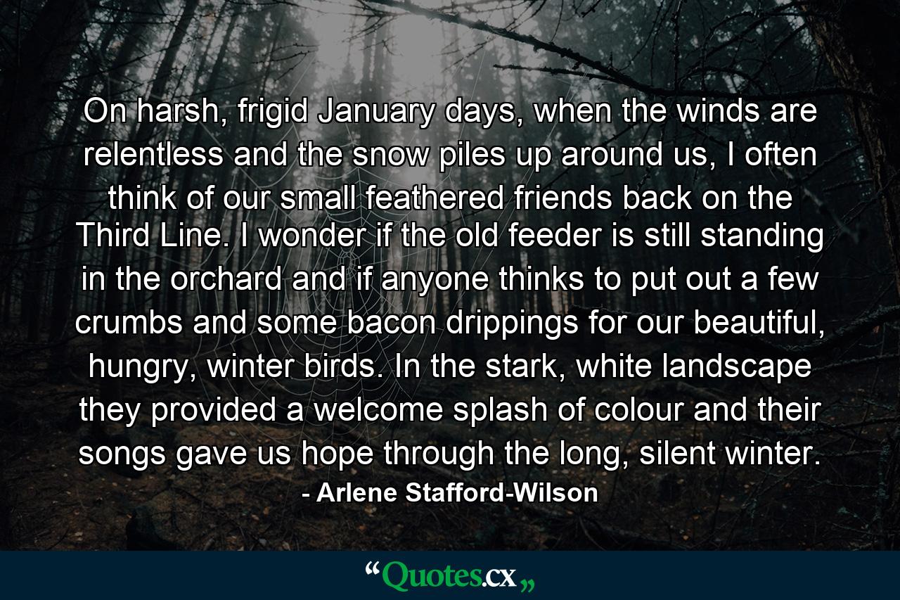 On harsh, frigid January days, when the winds are relentless and the snow piles up around us, I often think of our small feathered friends back on the Third Line. I wonder if the old feeder is still standing in the orchard and if anyone thinks to put out a few crumbs and some bacon drippings for our beautiful, hungry, winter birds. In the stark, white landscape they provided a welcome splash of colour and their songs gave us hope through the long, silent winter. - Quote by Arlene Stafford-Wilson