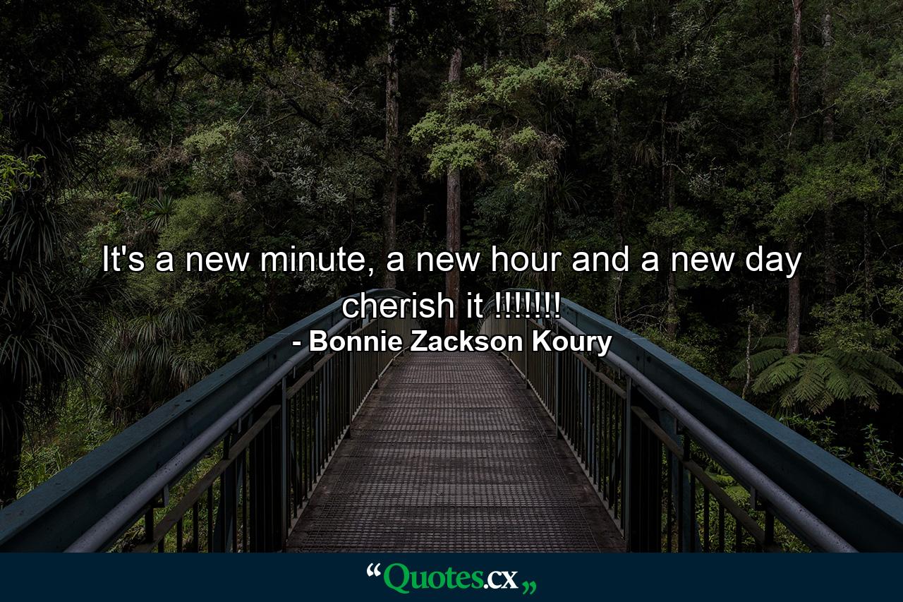 It's a new minute, a new hour and a new day cherish it !!!!!!! - Quote by Bonnie Zackson Koury