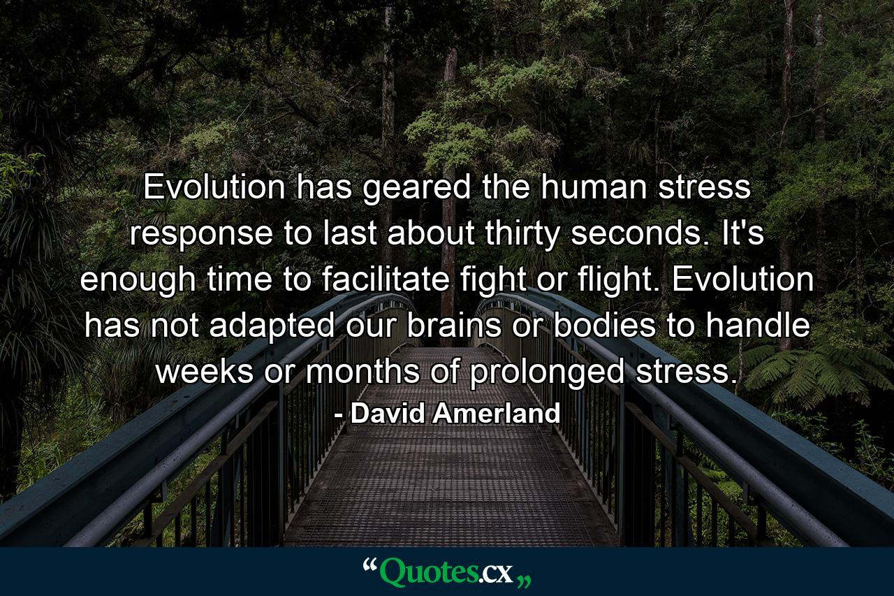 Evolution has geared the human stress response to last about thirty seconds. It's enough time to facilitate fight or flight. Evolution has not adapted our brains or bodies to handle weeks or months of prolonged stress. - Quote by David Amerland