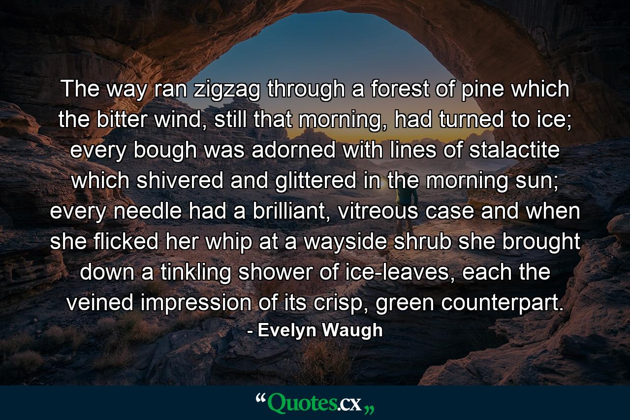 The way ran zigzag through a forest of pine which the bitter wind, still that morning, had turned to ice; every bough was adorned with lines of stalactite which shivered and glittered in the morning sun; every needle had a brilliant, vitreous case and when she flicked her whip at a wayside shrub she brought down a tinkling shower of ice-leaves, each the veined impression of its crisp, green counterpart. - Quote by Evelyn Waugh