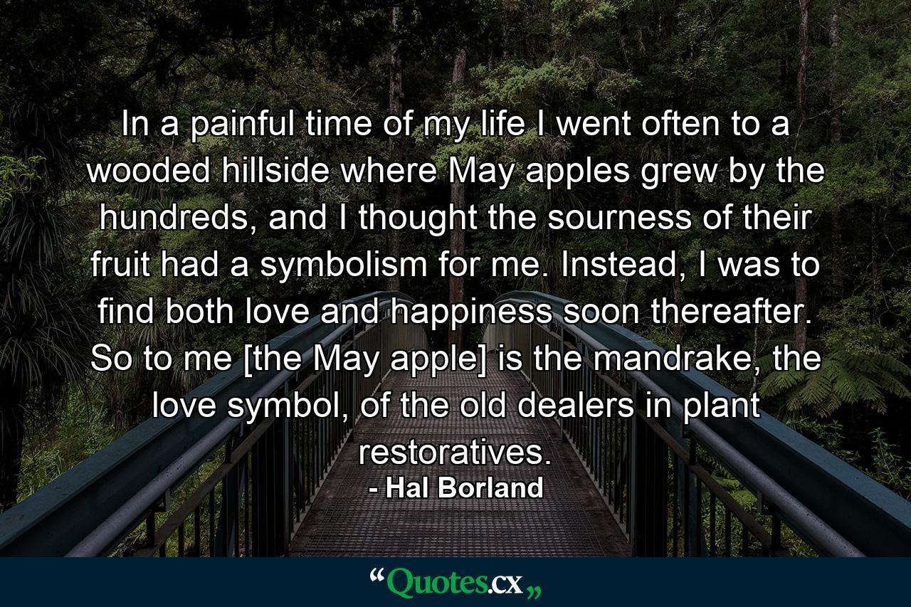 In a painful time of my life I went often to a wooded hillside where May apples grew by the hundreds, and I thought the sourness of their fruit had a symbolism for me. Instead, I was to find both love and happiness soon thereafter. So to me [the May apple] is the mandrake, the love symbol, of the old dealers in plant restoratives. - Quote by Hal Borland