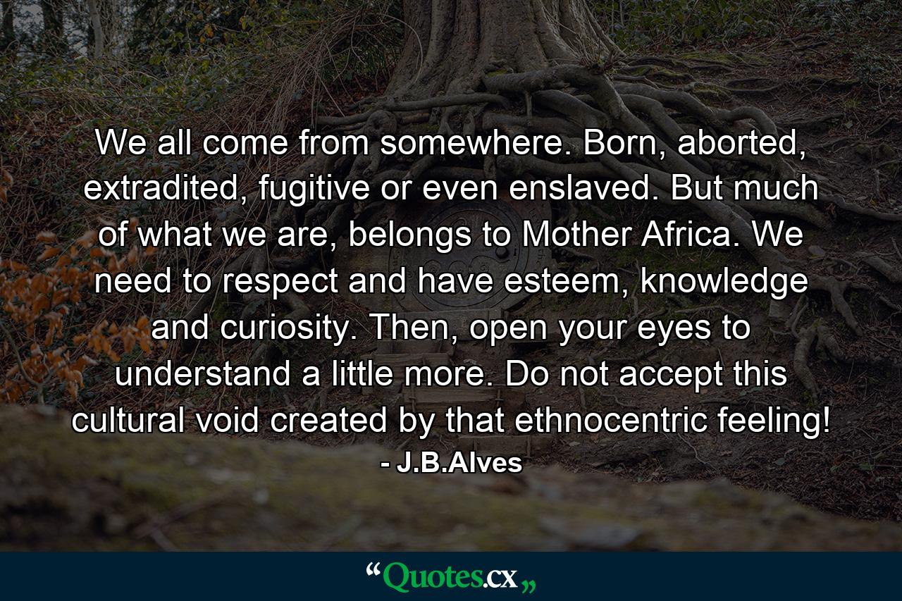 We all come from somewhere. Born, aborted, extradited, fugitive or even enslaved. But much of what we are, belongs to Mother Africa. We need to respect and have esteem, knowledge and curiosity. Then, open your eyes to understand a little more. Do not accept this cultural void created by that ethnocentric feeling! - Quote by J.B.Alves