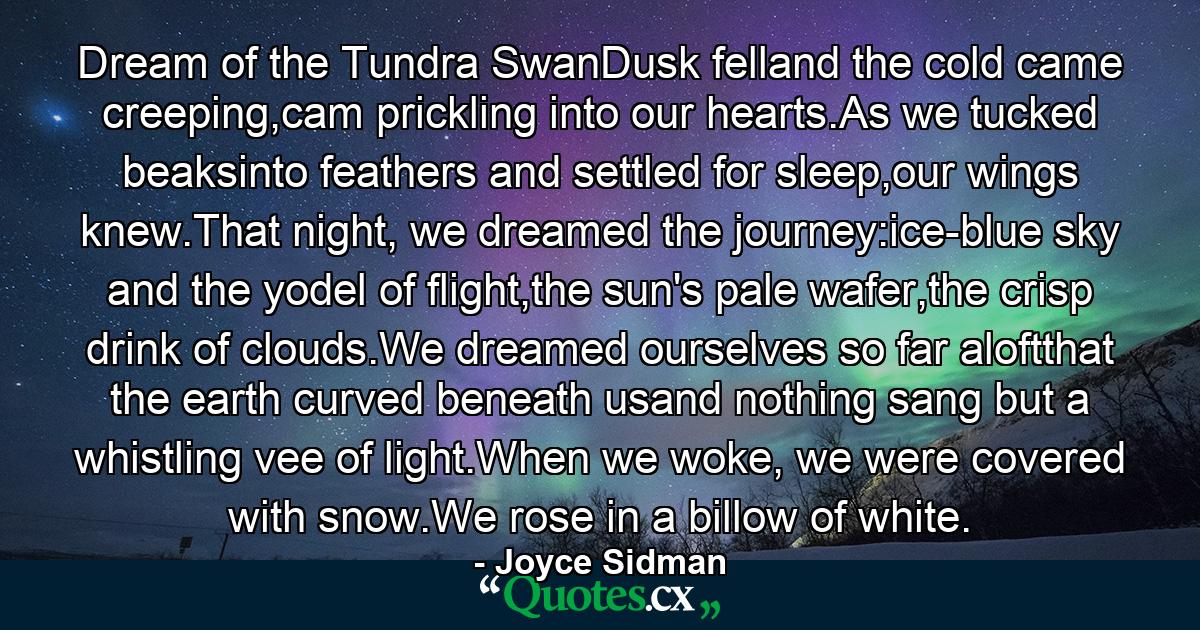 Dream of the Tundra SwanDusk felland the cold came creeping,cam prickling into our hearts.As we tucked beaksinto feathers and settled for sleep,our wings knew.That night, we dreamed the journey:ice-blue sky and the yodel of flight,the sun's pale wafer,the crisp drink of clouds.We dreamed ourselves so far aloftthat the earth curved beneath usand nothing sang but a whistling vee of light.When we woke, we were covered with snow.We rose in a billow of white. - Quote by Joyce Sidman