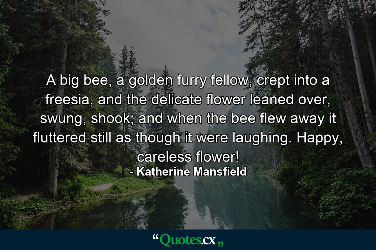 A big bee, a golden furry fellow, crept into a freesia, and the delicate flower leaned over, swung, shook; and when the bee flew away it fluttered still as though it were laughing. Happy, careless flower! - Quote by Katherine Mansfield