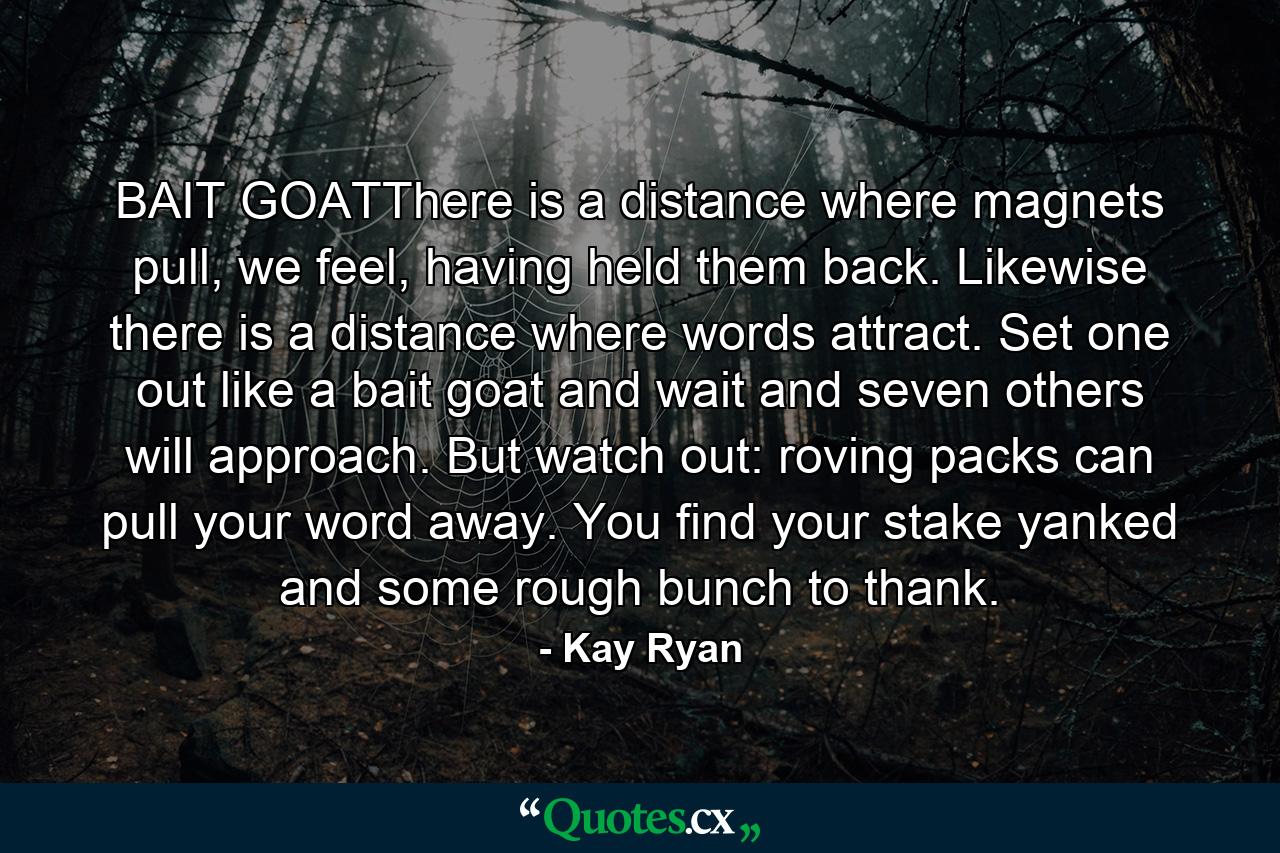 BAIT GOATThere is a distance where magnets pull, we feel, having held them back. Likewise there is a distance where words attract. Set one out like a bait goat and wait and seven others will approach. But watch out: roving packs can pull your word away. You find your stake yanked and some rough bunch to thank. - Quote by Kay Ryan