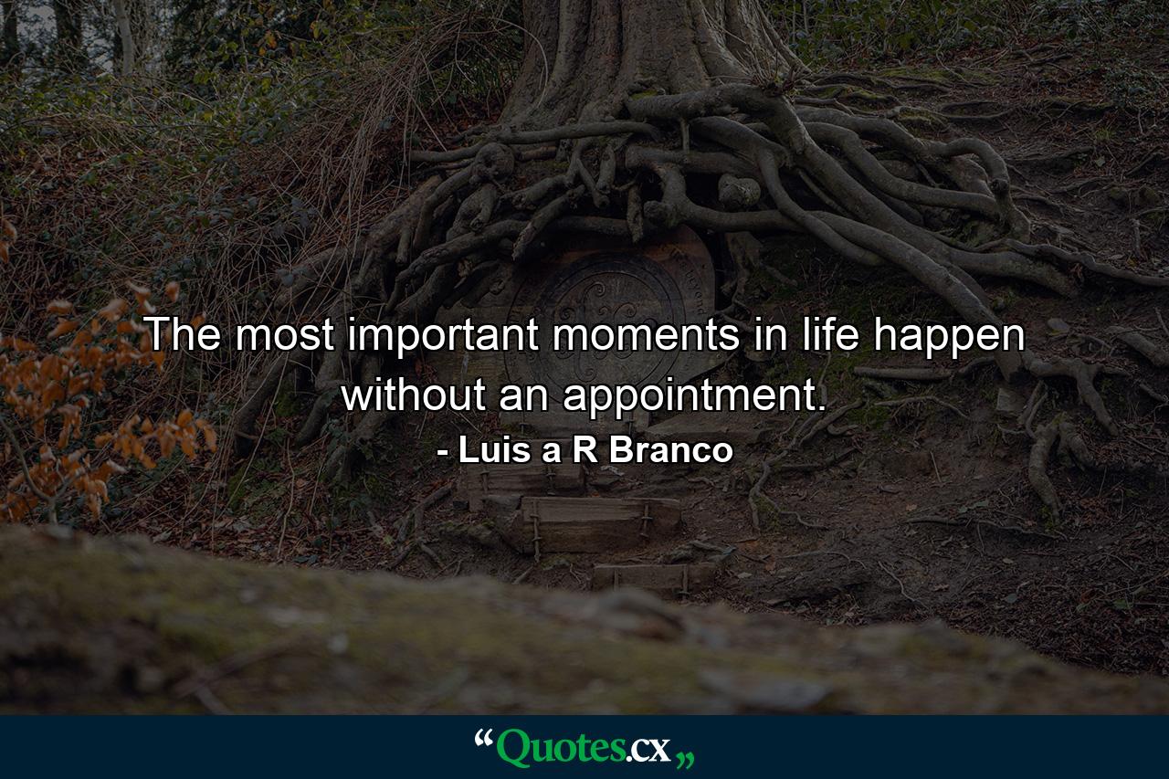 The most important moments in life happen without an appointment. - Quote by Luis a R Branco