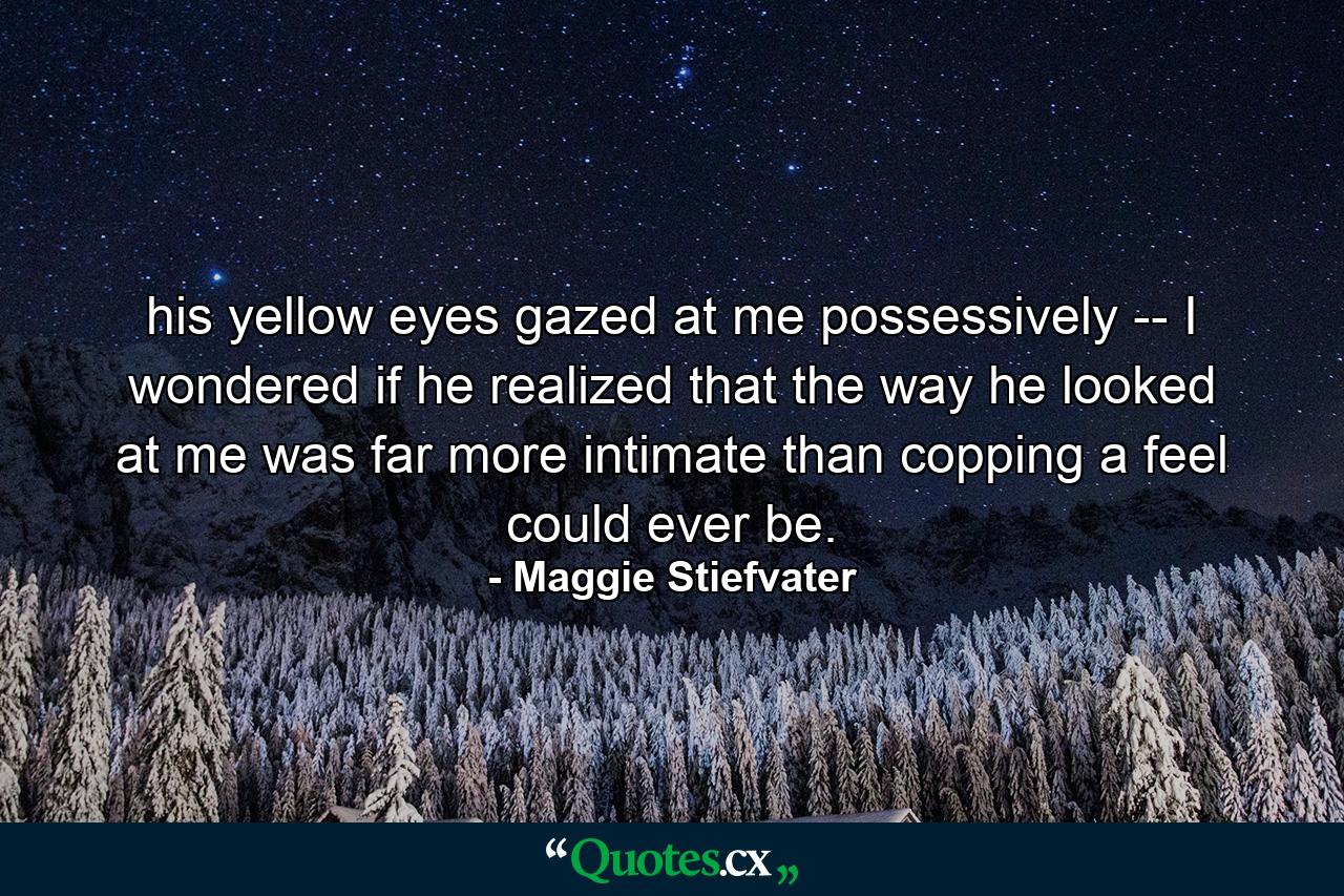 his yellow eyes gazed at me possessively -- I wondered if he realized that the way he looked at me was far more intimate than copping a feel could ever be. - Quote by Maggie Stiefvater