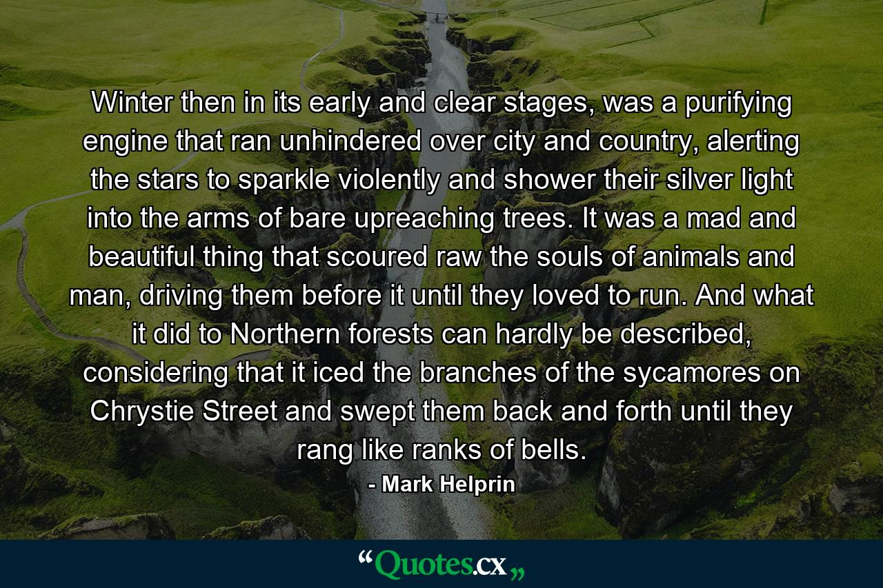 Winter then in its early and clear stages, was a purifying engine that ran unhindered over city and country, alerting the stars to sparkle violently and shower their silver light into the arms of bare upreaching trees. It was a mad and beautiful thing that scoured raw the souls of animals and man, driving them before it until they loved to run. And what it did to Northern forests can hardly be described, considering that it iced the branches of the sycamores on Chrystie Street and swept them back and forth until they rang like ranks of bells. - Quote by Mark Helprin