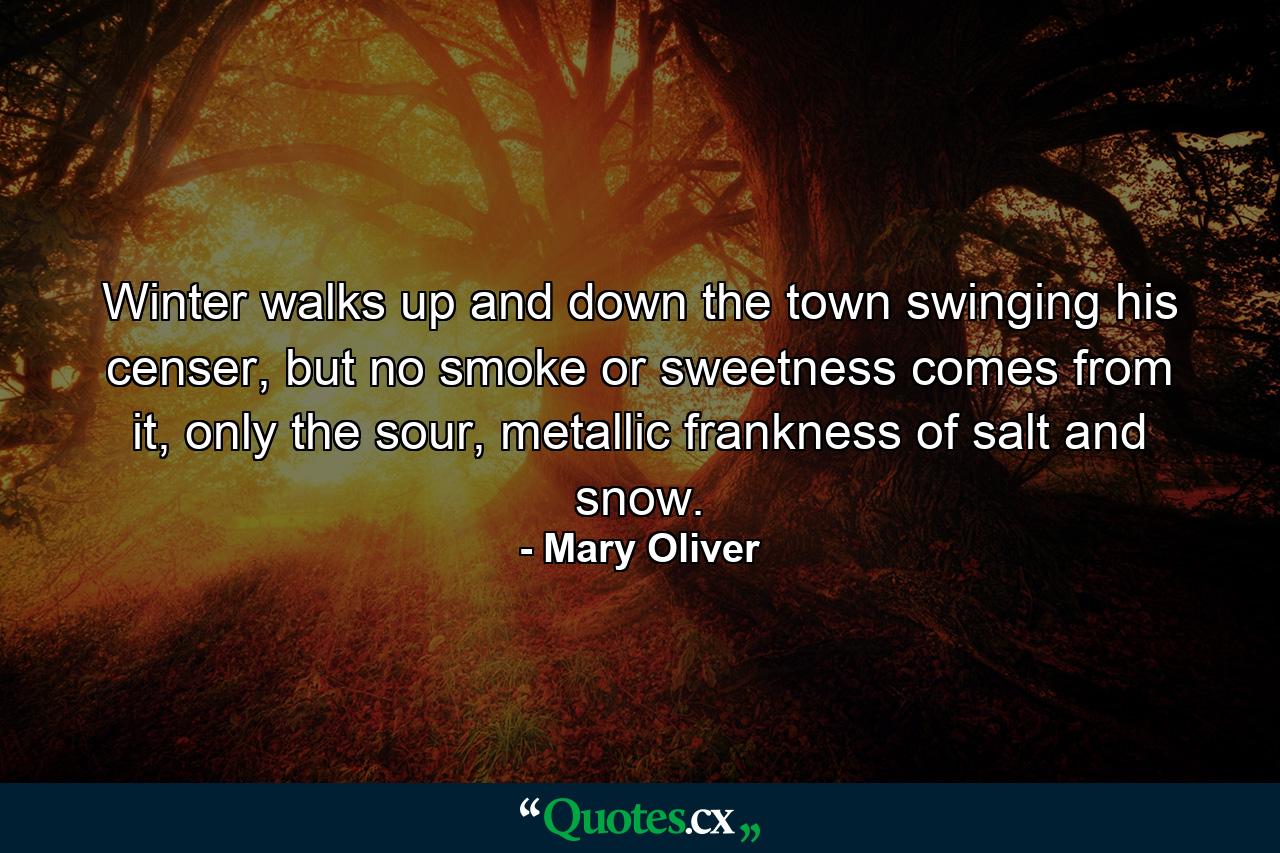 Winter walks up and down the town swinging his censer, but no smoke or sweetness comes from it, only the sour, metallic frankness of salt and snow. - Quote by Mary Oliver