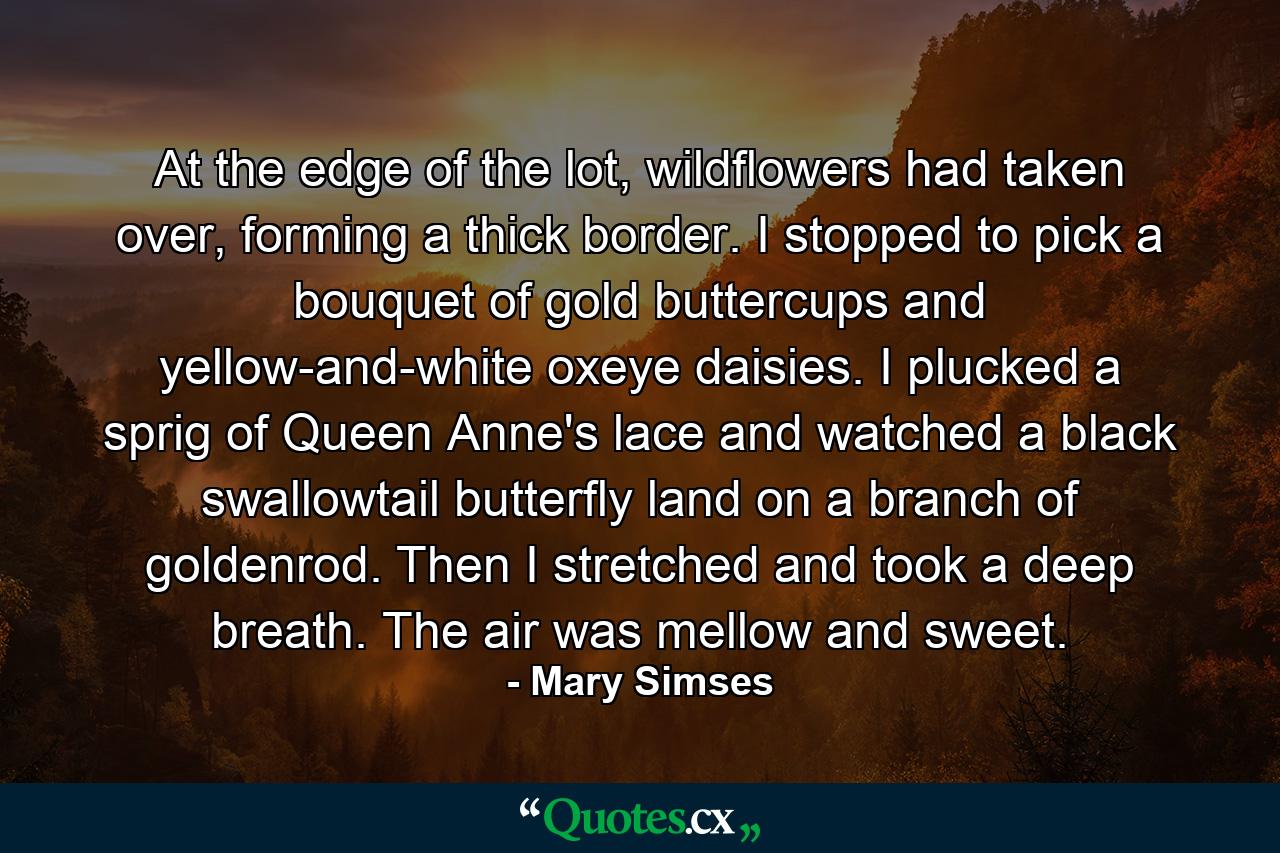 At the edge of the lot, wildflowers had taken over, forming a thick border. I stopped to pick a bouquet of gold buttercups and yellow-and-white oxeye daisies. I plucked a sprig of Queen Anne's lace and watched a black swallowtail butterfly land on a branch of goldenrod. Then I stretched and took a deep breath. The air was mellow and sweet. - Quote by Mary Simses