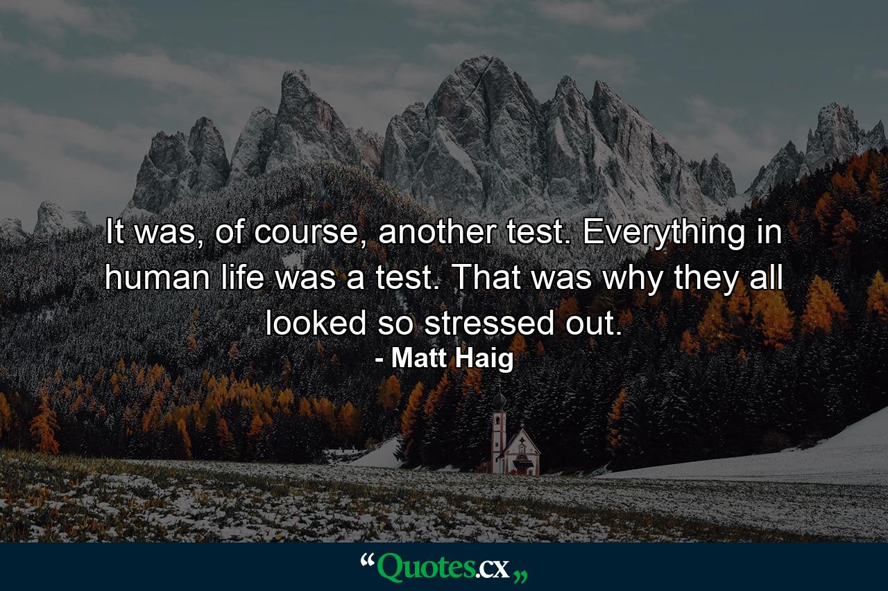 It was, of course, another test. Everything in human life was a test. That was why they all looked so stressed out. - Quote by Matt Haig