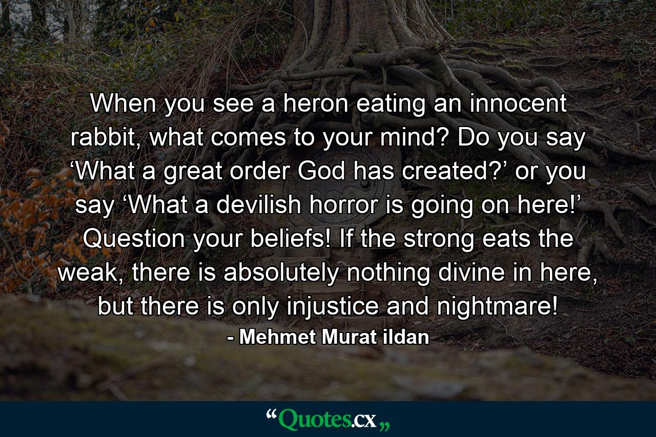 When you see a heron eating an innocent rabbit, what comes to your mind? Do you say ‘What a great order God has created?’ or you say ‘What a devilish horror is going on here!’ Question your beliefs! If the strong eats the weak, there is absolutely nothing divine in here, but there is only injustice and nightmare! - Quote by Mehmet Murat ildan