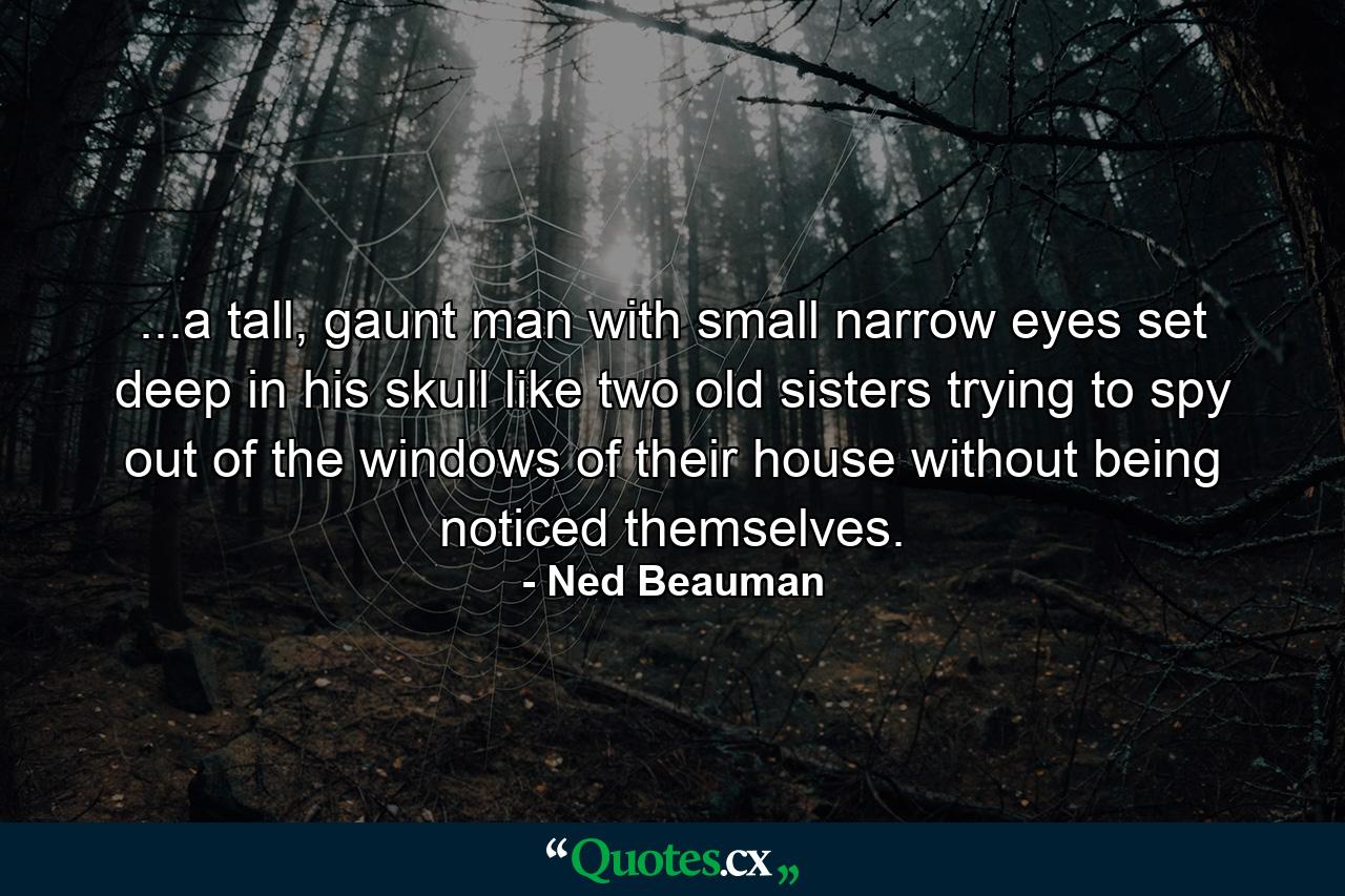 ...a tall, gaunt man with small narrow eyes set deep in his skull like two old sisters trying to spy out of the windows of their house without being noticed themselves. - Quote by Ned Beauman