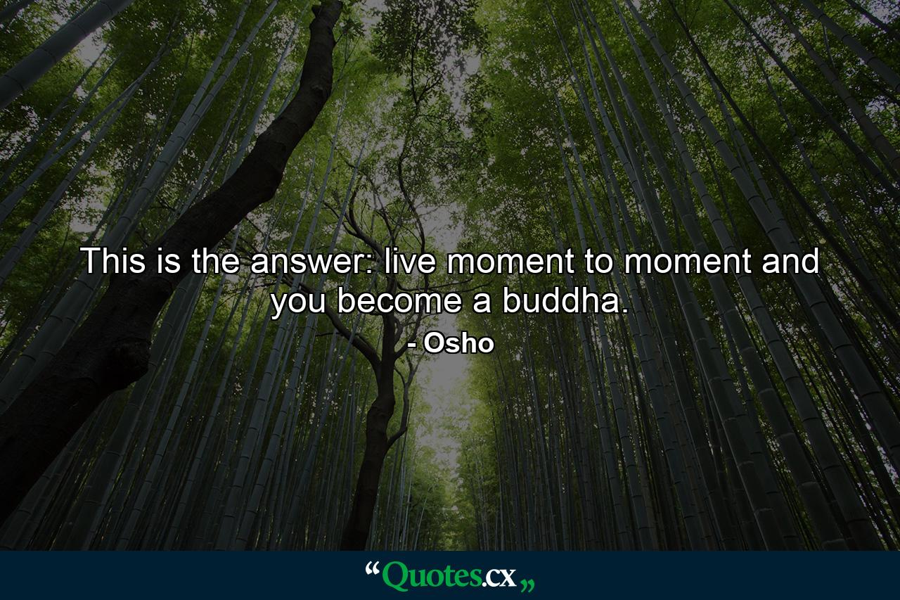 This is the answer: live moment to moment and you become a buddha. - Quote by Osho