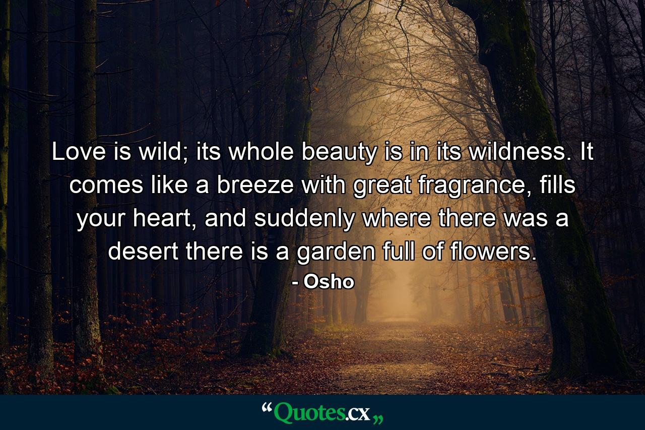 Love is wild; its whole beauty is in its wildness. It comes like a breeze with great fragrance, fills your heart, and suddenly where there was a desert there is a garden full of flowers. - Quote by Osho