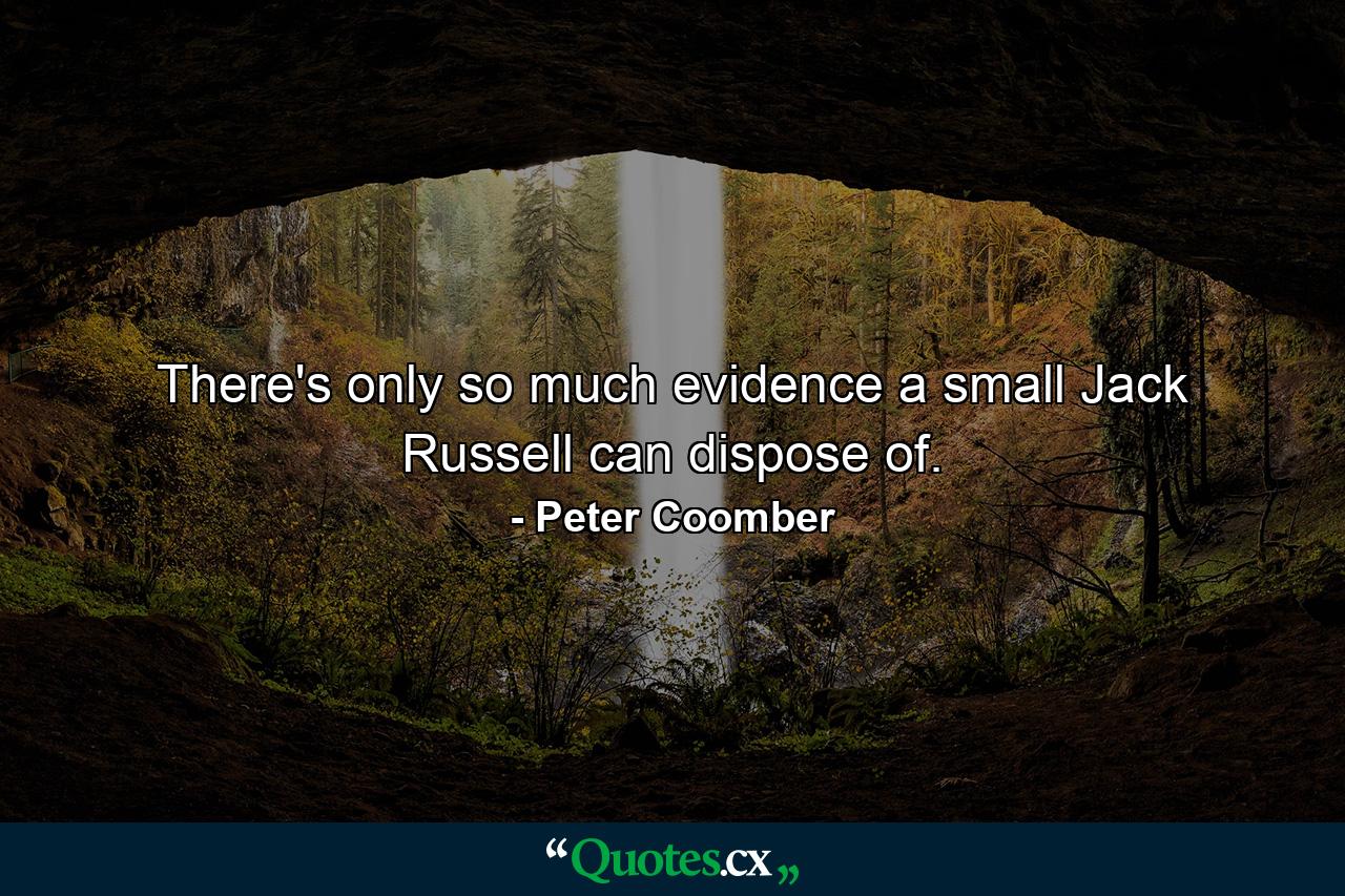 There's only so much evidence a small Jack Russell can dispose of. - Quote by Peter Coomber