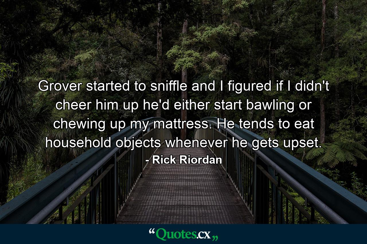 Grover started to sniffle and I figured if I didn't cheer him up he'd either start bawling or chewing up my mattress. He tends to eat household objects whenever he gets upset. - Quote by Rick Riordan