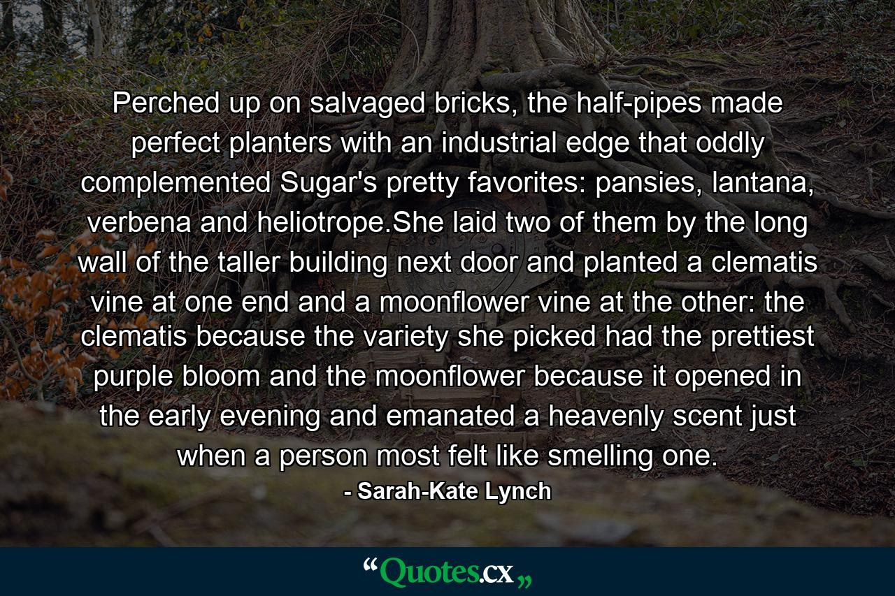 Perched up on salvaged bricks, the half-pipes made perfect planters with an industrial edge that oddly complemented Sugar's pretty favorites: pansies, lantana, verbena and heliotrope.She laid two of them by the long wall of the taller building next door and planted a clematis vine at one end and a moonflower vine at the other: the clematis because the variety she picked had the prettiest purple bloom and the moonflower because it opened in the early evening and emanated a heavenly scent just when a person most felt like smelling one. - Quote by Sarah-Kate Lynch
