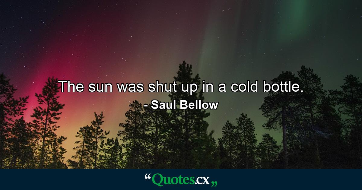 The sun was shut up in a cold bottle. - Quote by Saul Bellow