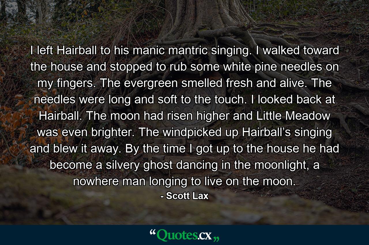 I left Hairball to his manic mantric singing. I walked toward the house and stopped to rub some white pine needles on my fingers. The evergreen smelled fresh and alive. The needles were long and soft to the touch. I looked back at Hairball. The moon had risen higher and Little Meadow was even brighter. The windpicked up Hairball’s singing and blew it away. By the time I got up to the house he had become a silvery ghost dancing in the moonlight, a nowhere man longing to live on the moon. - Quote by Scott Lax