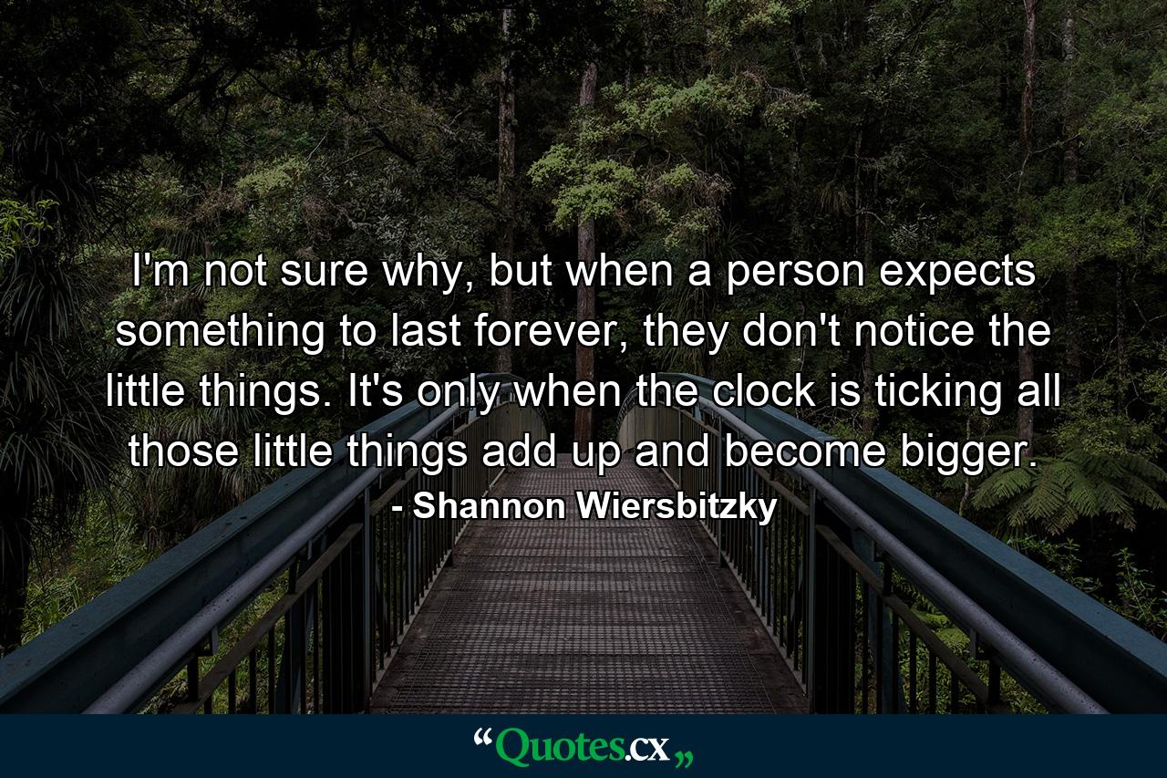 I'm not sure why, but when a person expects something to last forever, they don't notice the little things. It's only when the clock is ticking all those little things add up and become bigger. - Quote by Shannon Wiersbitzky