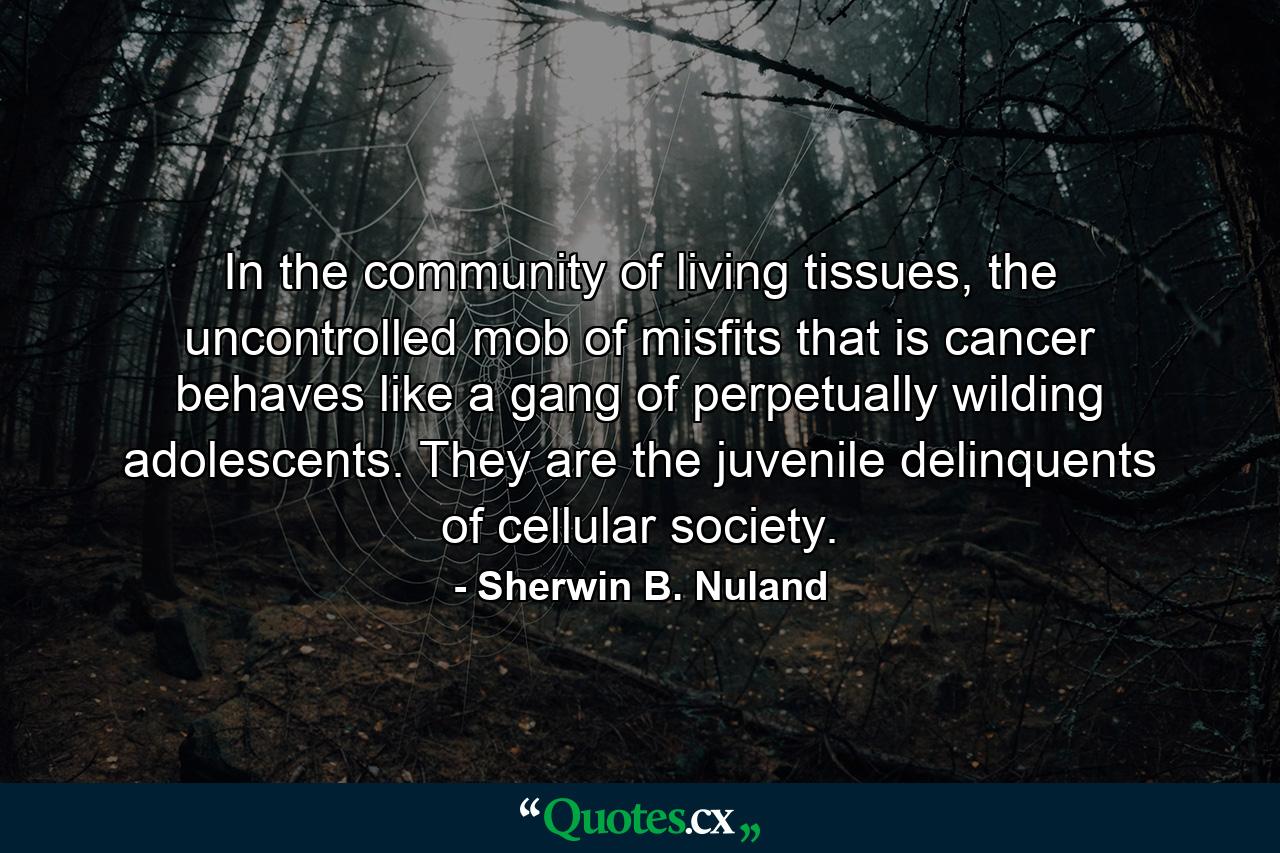 In the community of living tissues, the uncontrolled mob of misfits that is cancer behaves like a gang of perpetually wilding adolescents. They are the juvenile delinquents of cellular society. - Quote by Sherwin B. Nuland