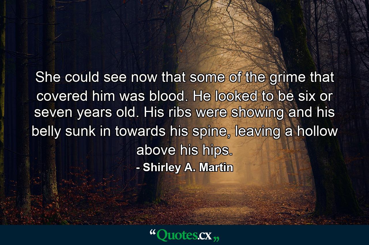 She could see now that some of the grime that covered him was blood. He looked to be six or seven years old. His ribs were showing and his belly sunk in towards his spine, leaving a hollow above his hips. - Quote by Shirley A. Martin