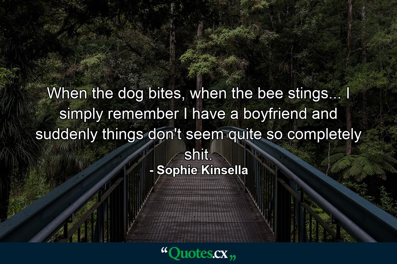 When the dog bites, when the bee stings... I simply remember I have a boyfriend and suddenly things don't seem quite so completely shit. - Quote by Sophie Kinsella