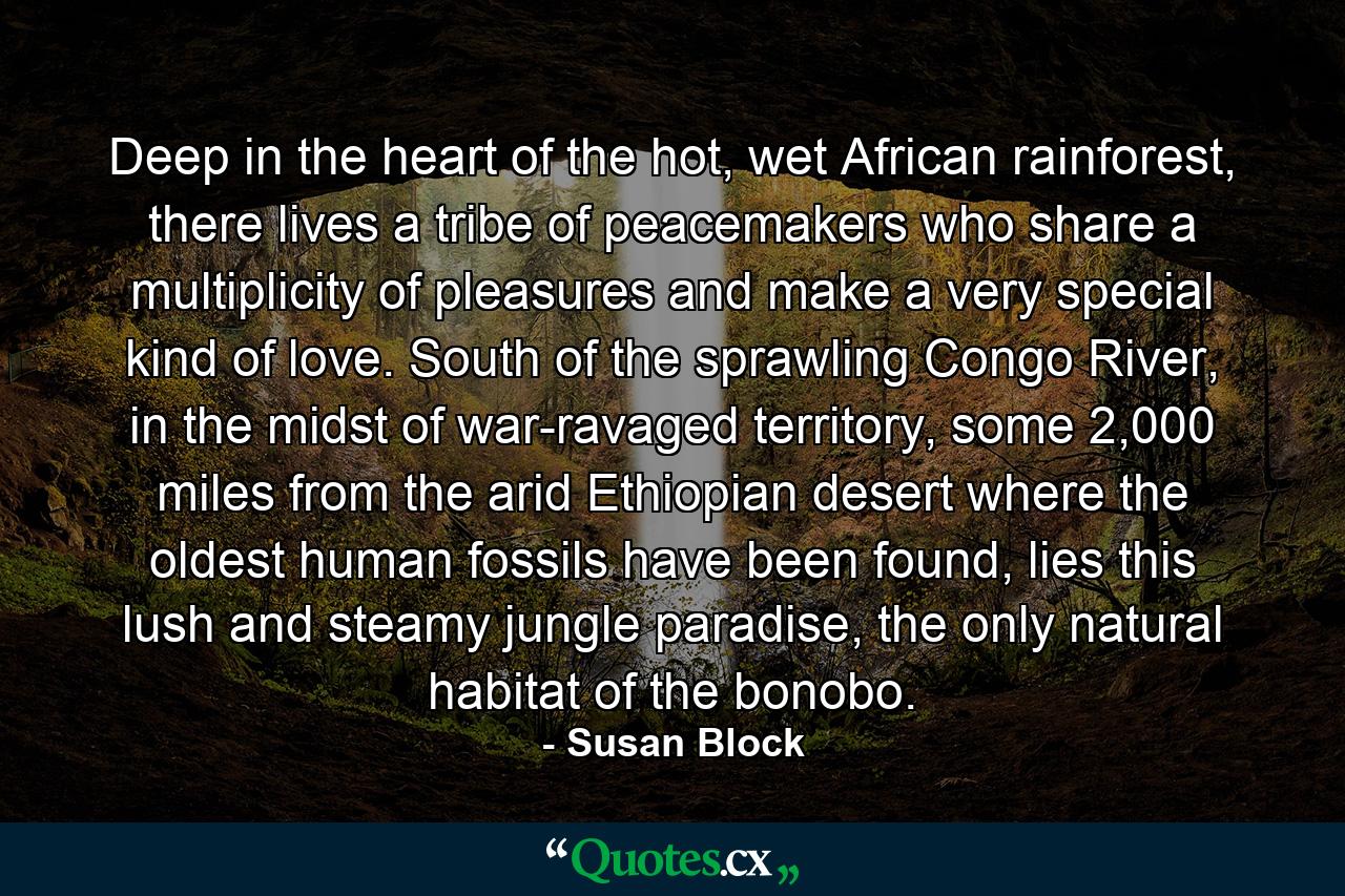 Deep in the heart of the hot, wet African rainforest, there lives a tribe of peacemakers who share a multiplicity of pleasures and make a very special kind of love. South of the sprawling Congo River, in the midst of war-ravaged territory, some 2,000 miles from the arid Ethiopian desert where the oldest human fossils have been found, lies this lush and steamy jungle paradise, the only natural habitat of the bonobo. - Quote by Susan Block