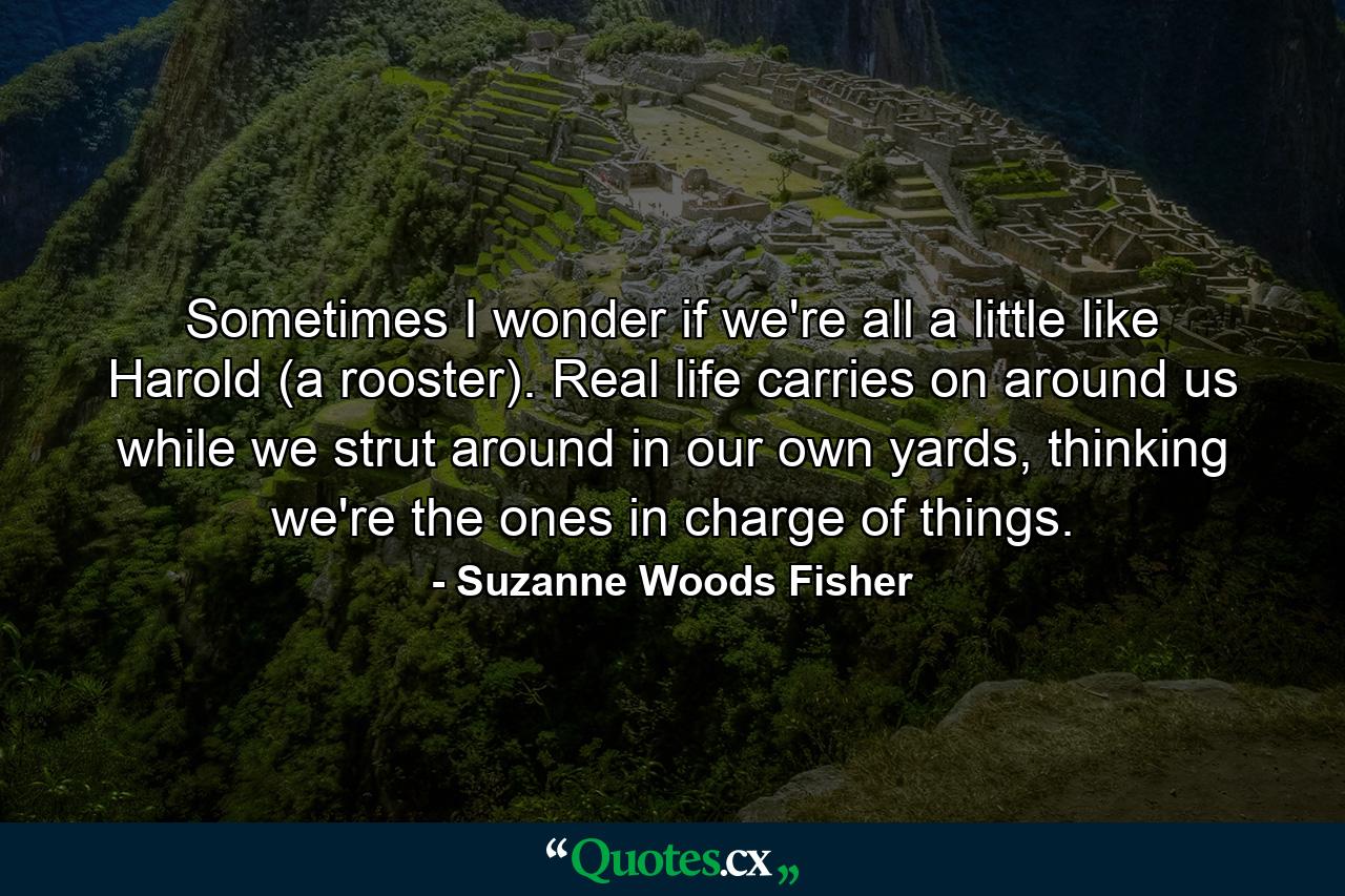 Sometimes I wonder if we're all a little like Harold (a rooster). Real life carries on around us while we strut around in our own yards, thinking we're the ones in charge of things. - Quote by Suzanne Woods Fisher