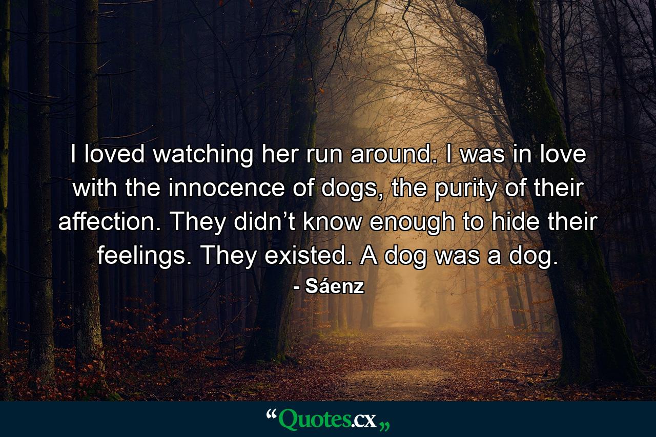 I loved watching her run around. I was in love with the innocence of dogs, the purity of their affection. They didn’t know enough to hide their feelings. They existed. A dog was a dog. - Quote by Sáenz