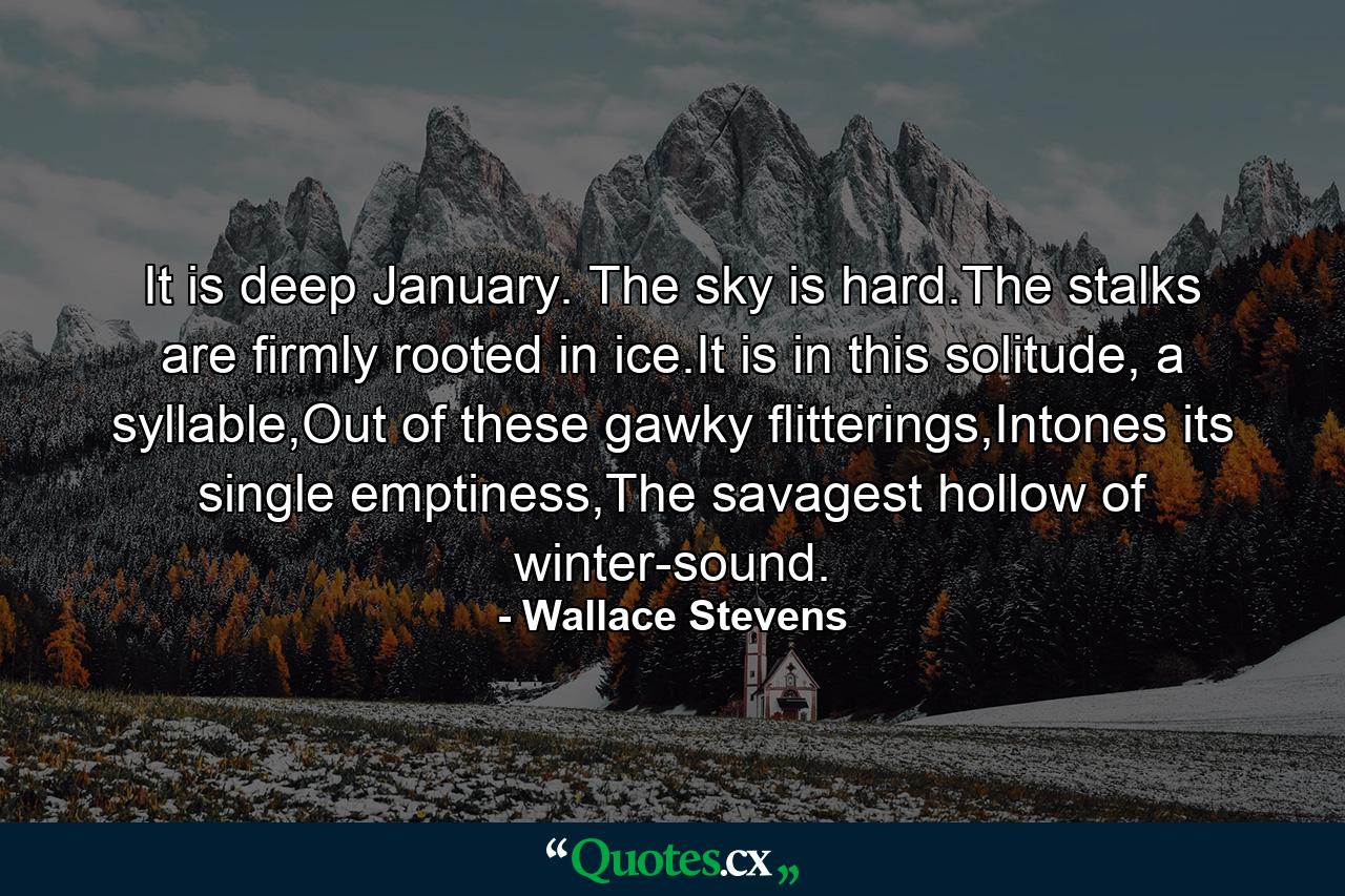 It is deep January. The sky is hard.The stalks are firmly rooted in ice.It is in this solitude, a syllable,Out of these gawky flitterings,Intones its single emptiness,The savagest hollow of winter-sound. - Quote by Wallace Stevens