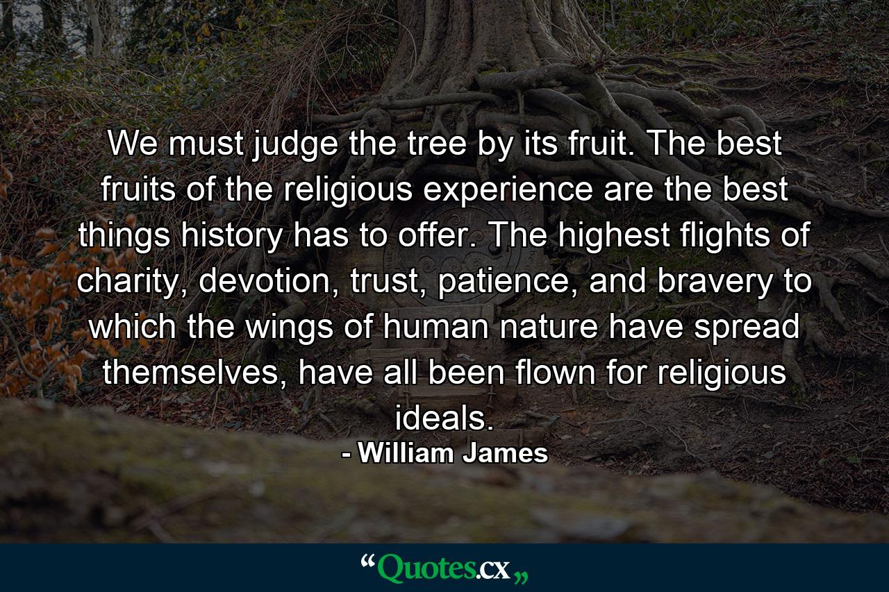 We must judge the tree by its fruit. The best fruits of the religious experience are the best things history has to offer. The highest flights of charity, devotion, trust, patience, and bravery to which the wings of human nature have spread themselves, have all been flown for religious ideals. - Quote by William James