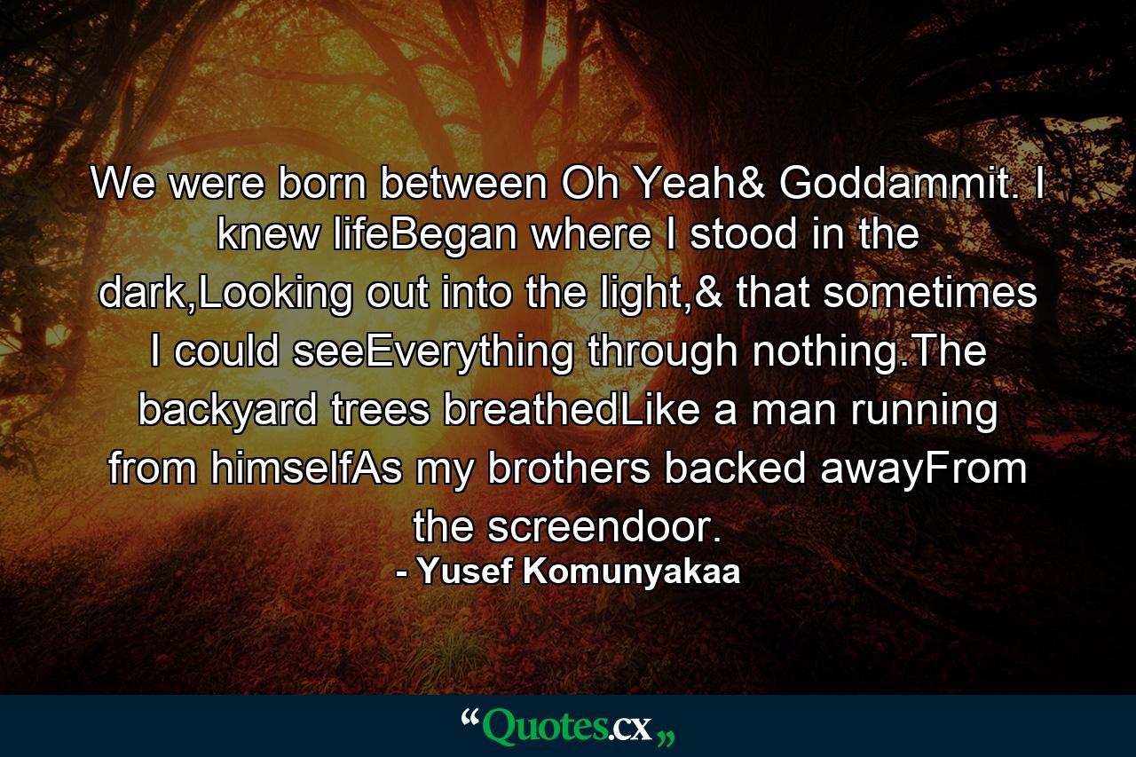 We were born between Oh Yeah& Goddammit. I knew lifeBegan where I stood in the dark,Looking out into the light,& that sometimes I could seeEverything through nothing.The backyard trees breathedLike a man running from himselfAs my brothers backed awayFrom the screendoor. - Quote by Yusef Komunyakaa