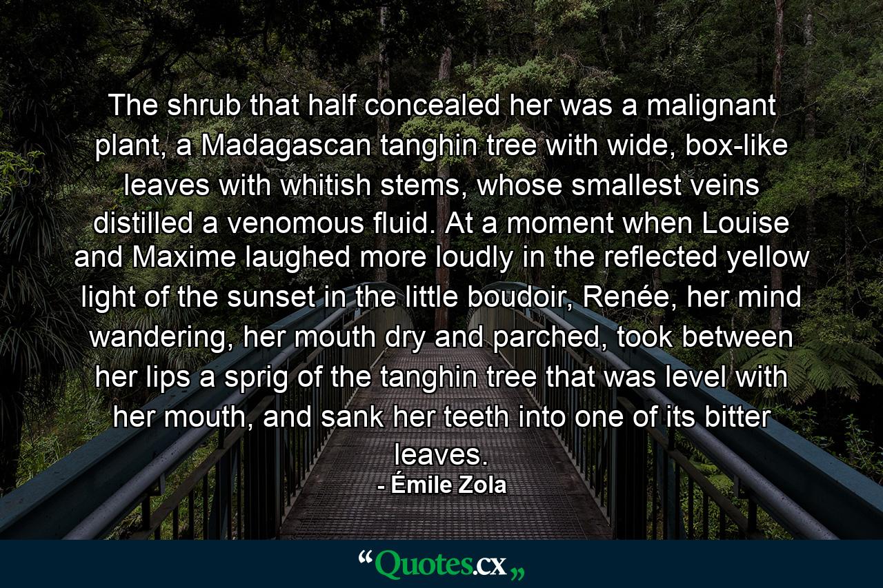 The shrub that half concealed her was a malignant plant, a Madagascan tanghin tree with wide, box-like leaves with whitish stems, whose smallest veins distilled a venomous fluid. At a moment when Louise and Maxime laughed more loudly in the reflected yellow light of the sunset in the little boudoir, Renée, her mind wandering, her mouth dry and parched, took between her lips a sprig of the tanghin tree that was level with her mouth, and sank her teeth into one of its bitter leaves. - Quote by Émile Zola