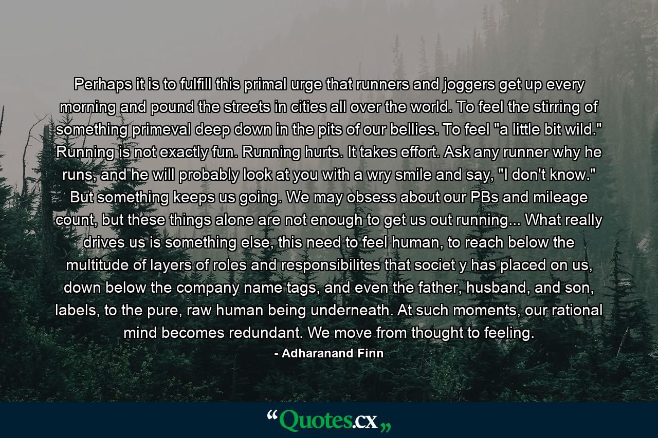 Perhaps it is to fulfill this primal urge that runners and joggers get up every morning and pound the streets in cities all over the world. To feel the stirring of something primeval deep down in the pits of our bellies. To feel 