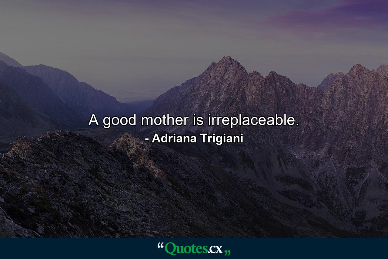 A good mother is irreplaceable. - Quote by Adriana Trigiani