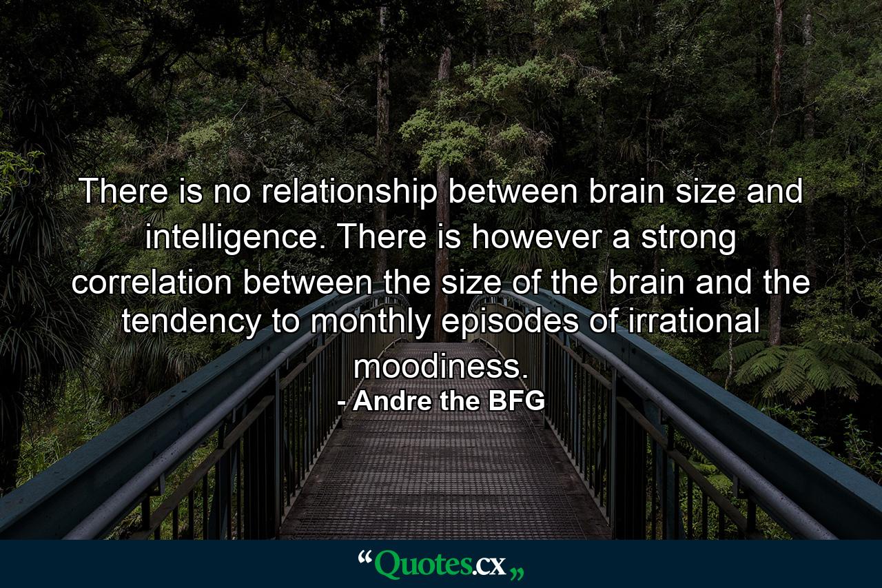 There is no relationship between brain size and intelligence. There is however a strong correlation between the size of the brain and the tendency to monthly episodes of irrational moodiness. - Quote by Andre the BFG