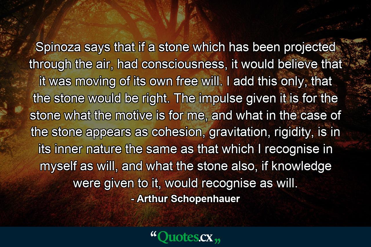 Spinoza says that if a stone which has been projected through the air, had consciousness, it would believe that it was moving of its own free will. I add this only, that the stone would be right. The impulse given it is for the stone what the motive is for me, and what in the case of the stone appears as cohesion, gravitation, rigidity, is in its inner nature the same as that which I recognise in myself as will, and what the stone also, if knowledge were given to it, would recognise as will. - Quote by Arthur Schopenhauer