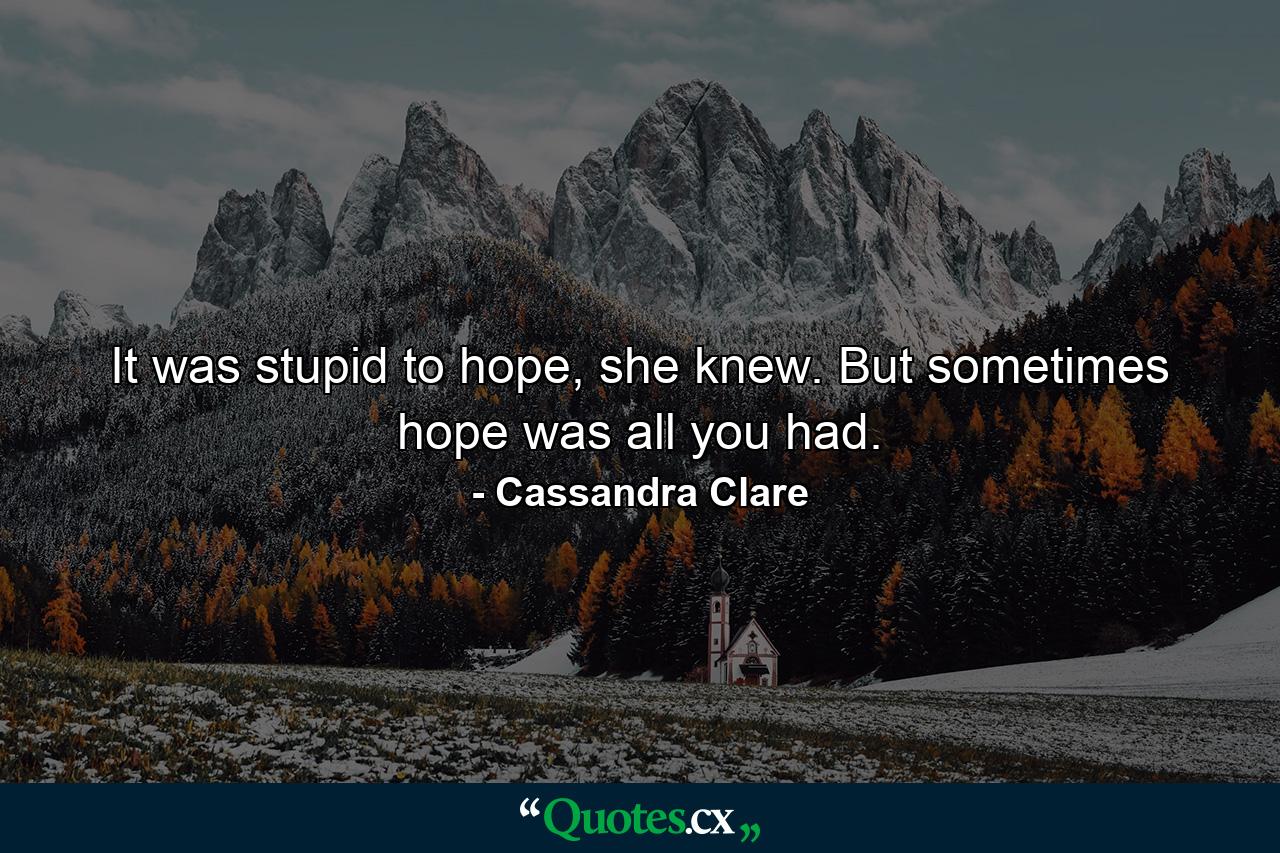 It was stupid to hope, she knew. But sometimes hope was all you had. - Quote by Cassandra Clare