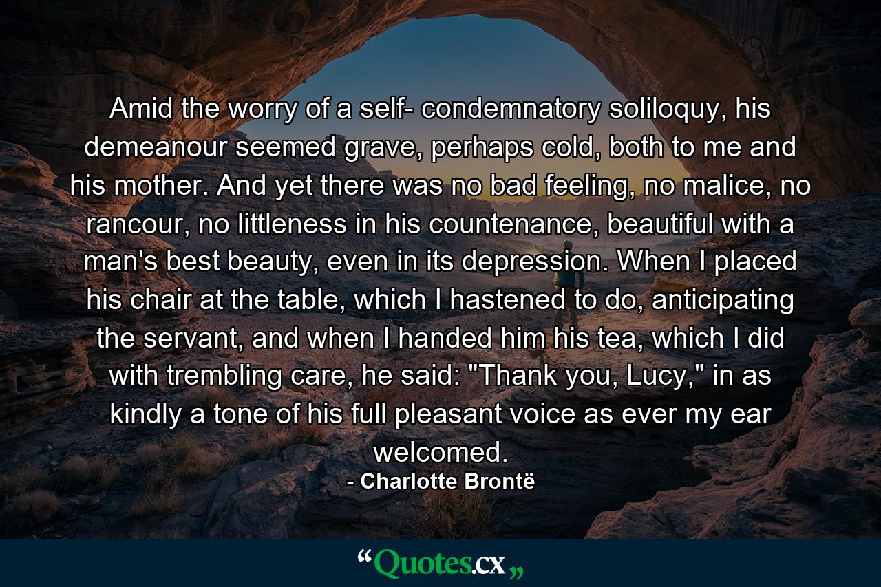 Amid the worry of a self- condemnatory soliloquy, his demeanour seemed grave, perhaps cold, both to me and his mother. And yet there was no bad feeling, no malice, no rancour, no littleness in his countenance, beautiful with a man's best beauty, even in its depression. When I placed his chair at the table, which I hastened to do, anticipating the servant, and when I handed him his tea, which I did with trembling care, he said: 