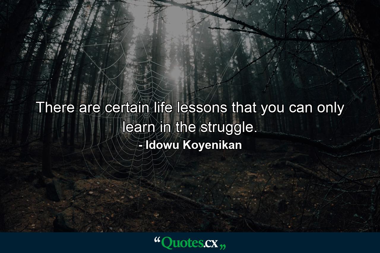 There are certain life lessons that you can only learn in the struggle. - Quote by Idowu Koyenikan